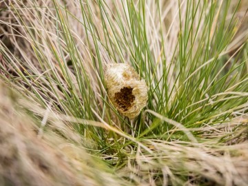 Letnie działania w Przedborskim Parku Krajobrazowym 2025, 
